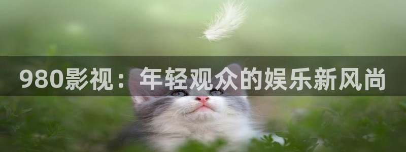小小影视免费下载最新版下载2021：980影视：年轻观众的娱乐新风尚