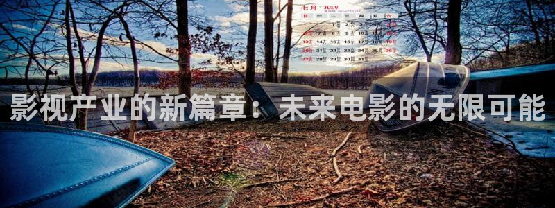 小小影视下载方法：影视产业的新篇章：未来电影的无限可能