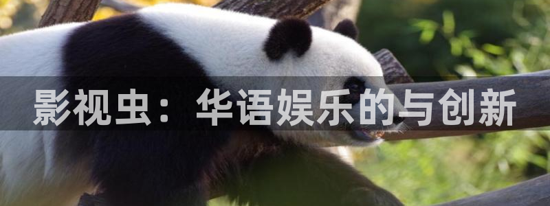 小小影视最新版官网：影视虫：华语娱乐的与创新