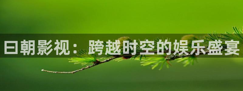 小小影视应用