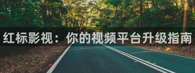 小小影视电脑版官网