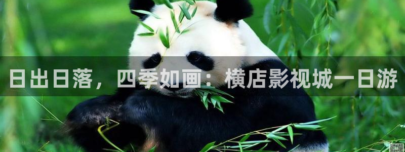 小小影视高清在线