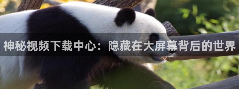 小小影视剧大全