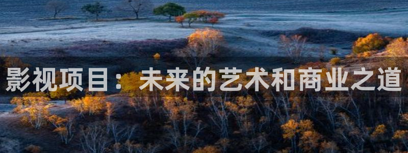 小小影视安卓版