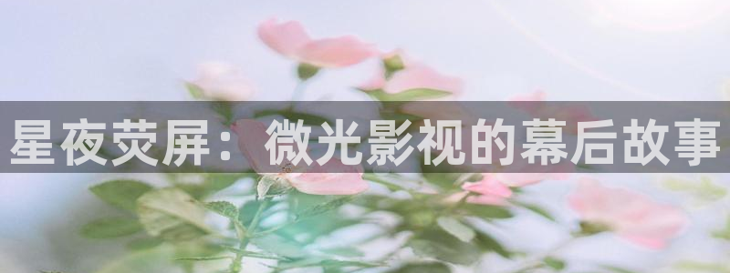 小小影视app链接