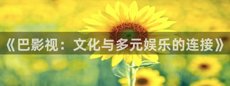 小小影视电脑版：《巴影视：文化与多元娱乐的连接》