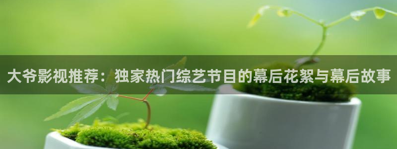小小影视无广告版