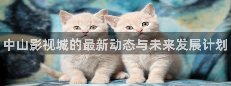 小小影视大全在线观看电视剧免费